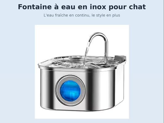 Fontaine à Eau pour Chat en Acier Inoxydable — 3,2 L, Filtrée & Silencieuse